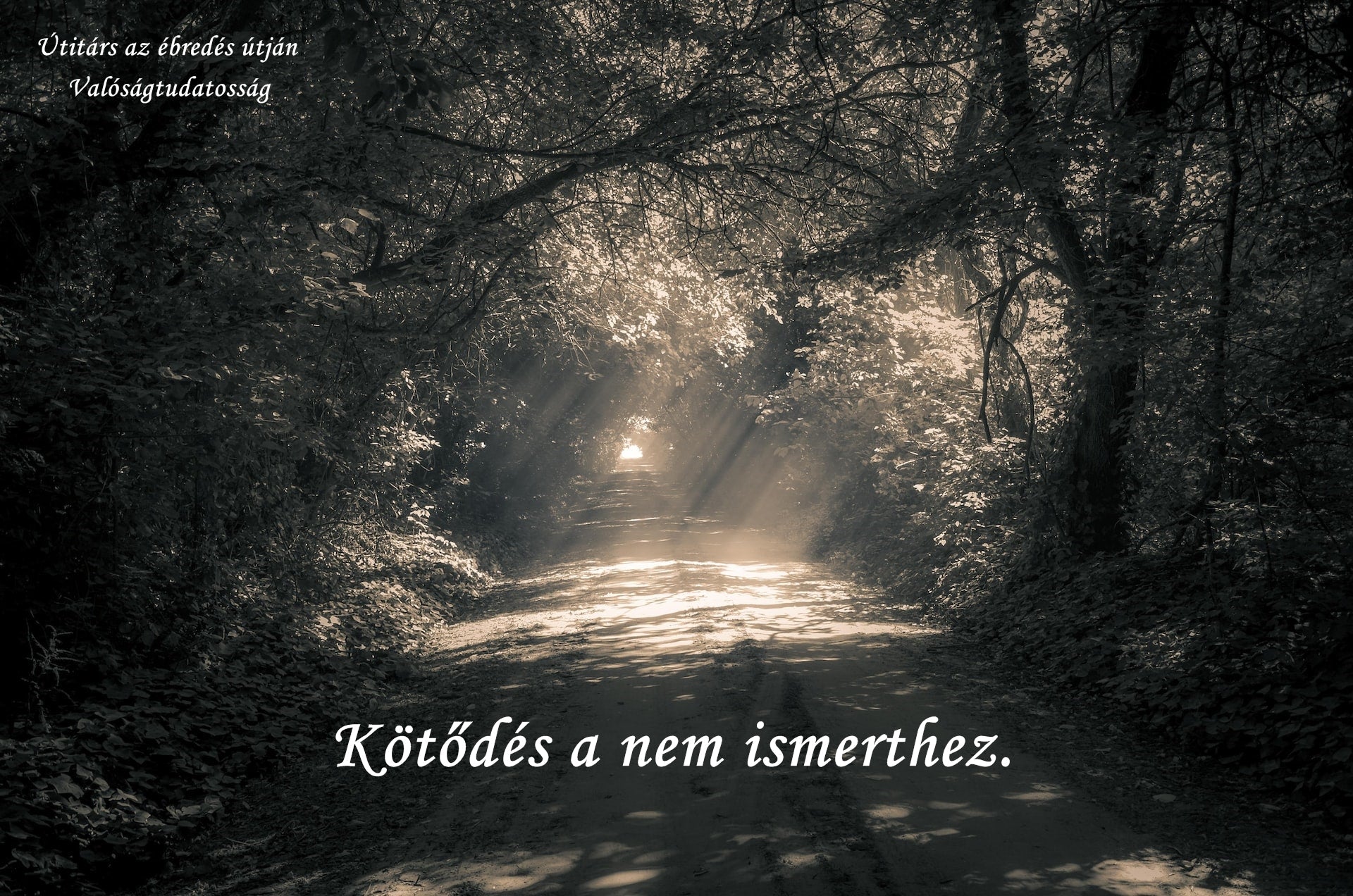 Kötődés a nem ismerthez.