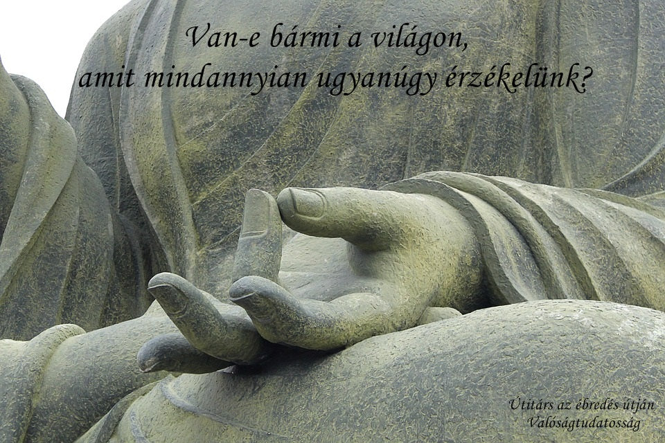 Van-e bármi a világon, amit mindannyian ugyanúgy érzékelünk?