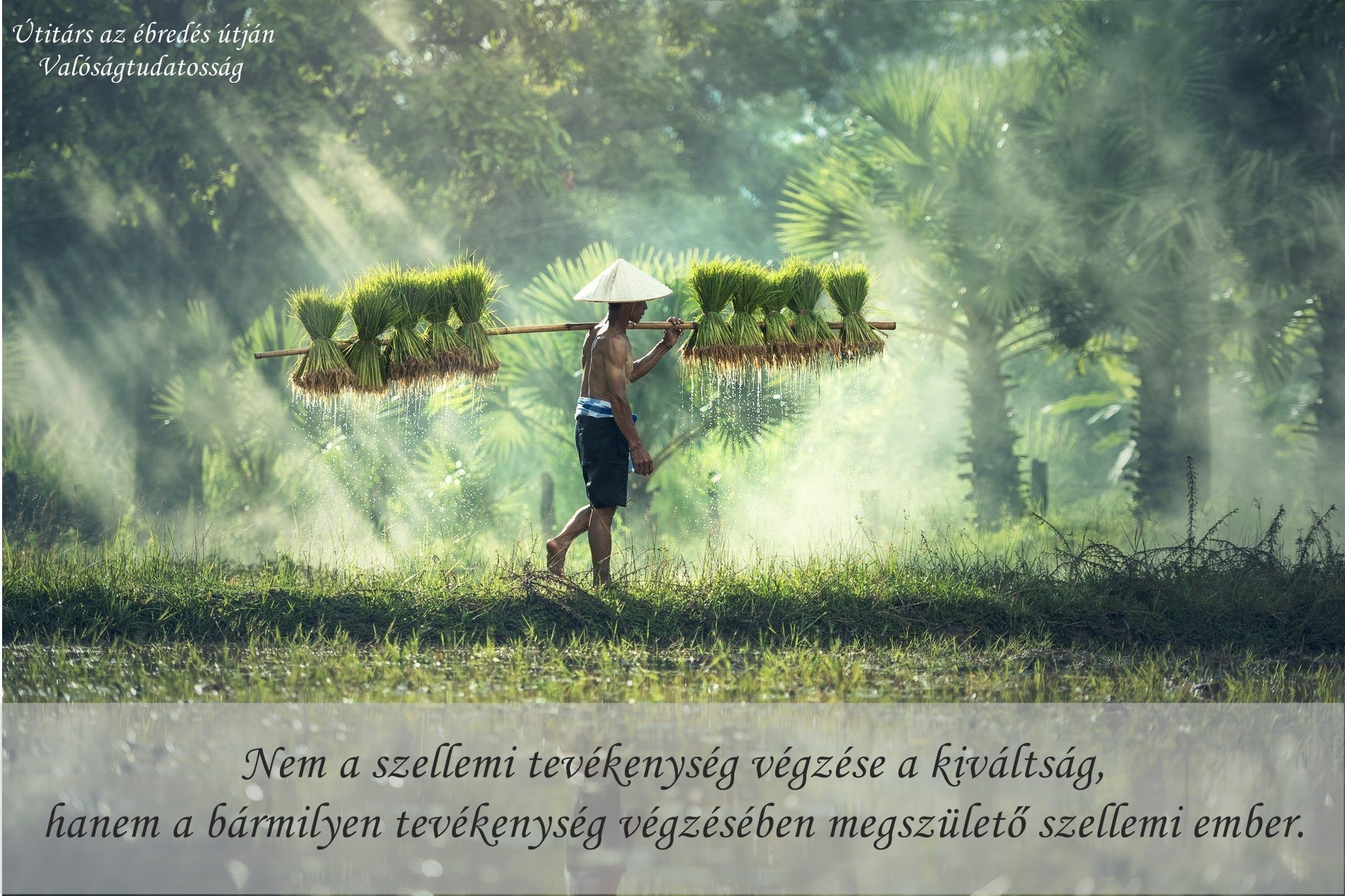 Nem a szellemi tevékenység végzése a kiváltság...