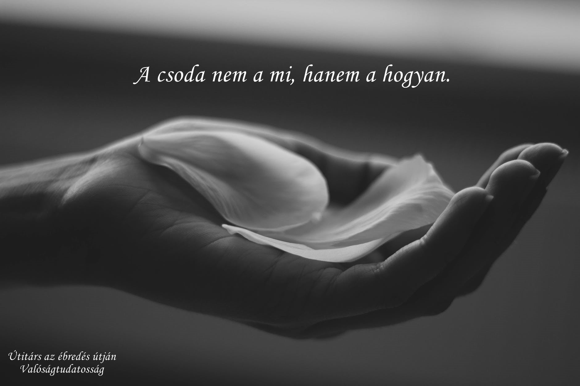 A csoda nem a mi, hanem a hogyan.