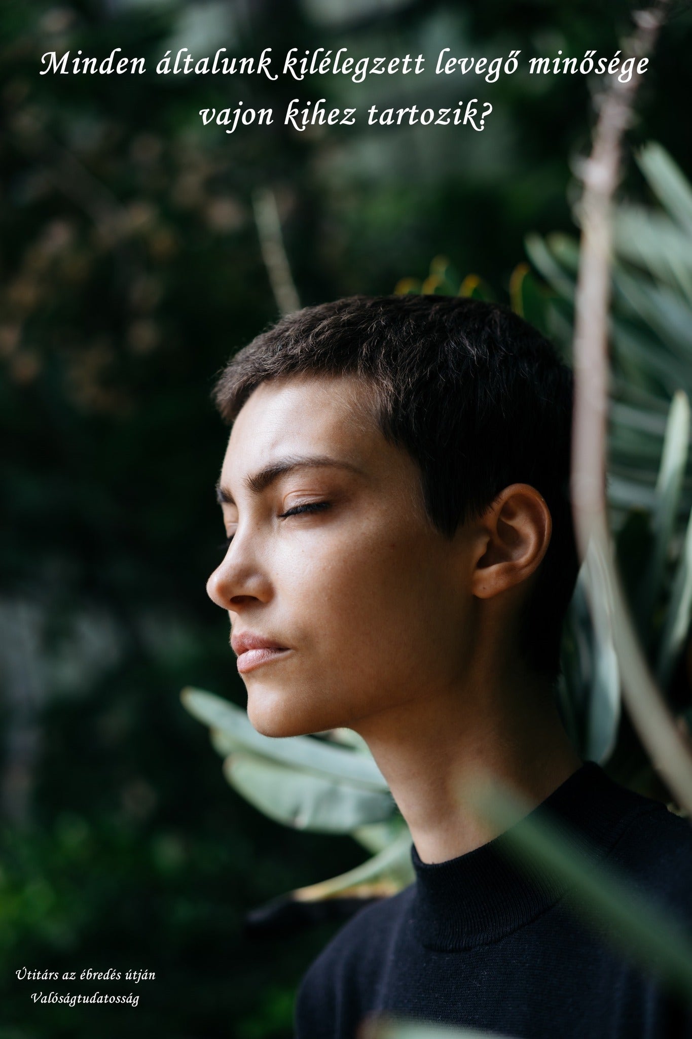 Minden általunk kilélegzett levegő, vajon kihez tartozik?