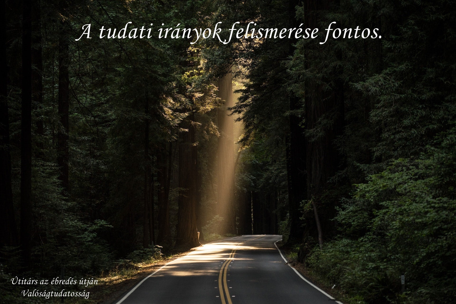 A tudati irányok felismerése fontos.