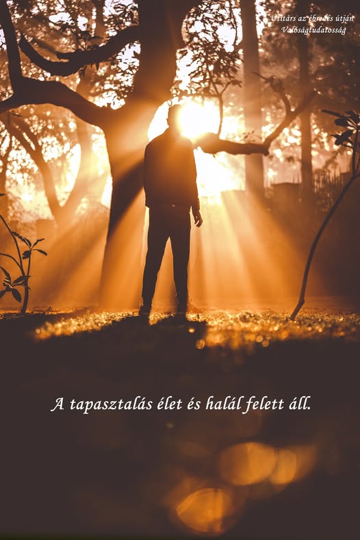 A tapasztalás élet és halál felett áll.